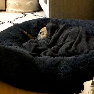 Meet your Posher, Cassius